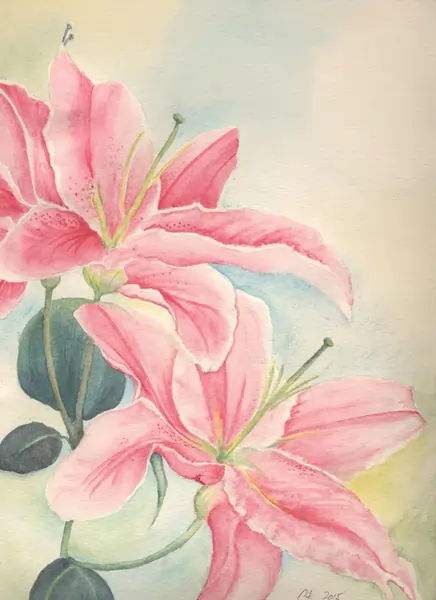 Illustration